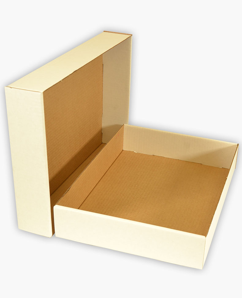 domesticar Sastre África Caja de carton con tapa, color blanco.